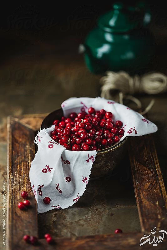 تزیین انار دون شده